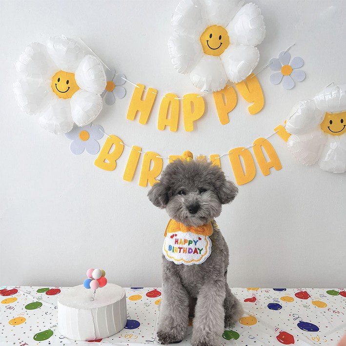 하피블리 강아지 생일파티 세트 하피블리 강아지 생일파티 세트