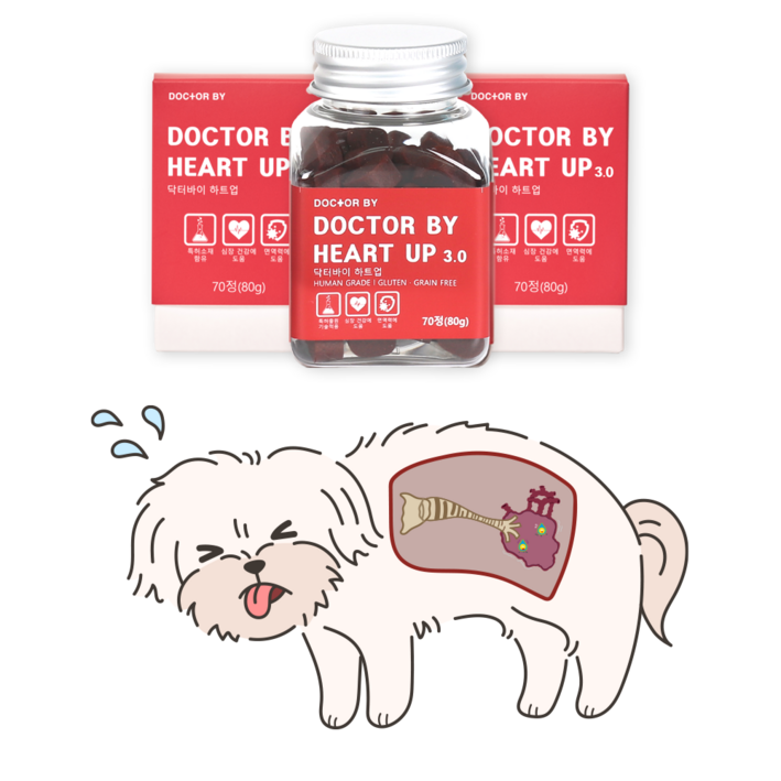 닥터바이 하트업 강아지 심장 면역 특허영양제 3