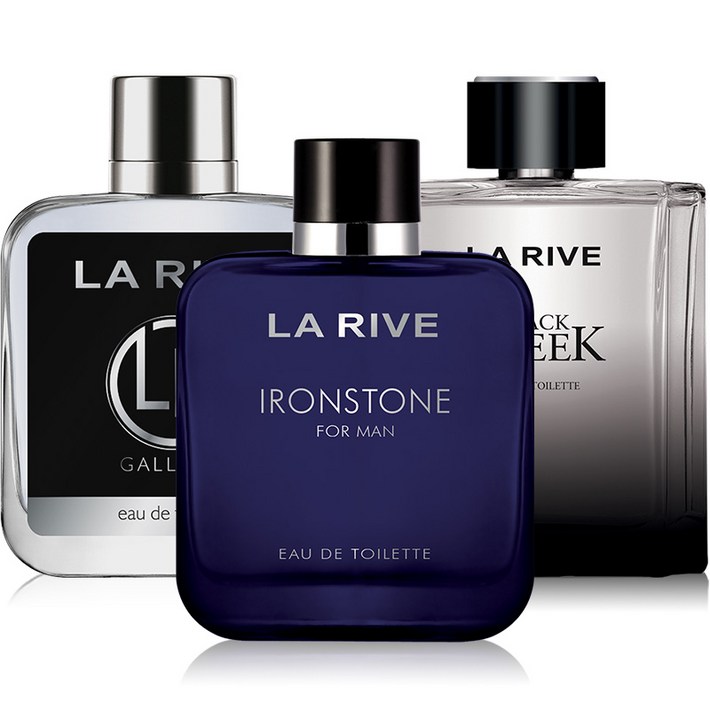 라리브 모던스타일 남성향수 100ml 3종 갈란트블랙크리크아이언스톤, 100ml