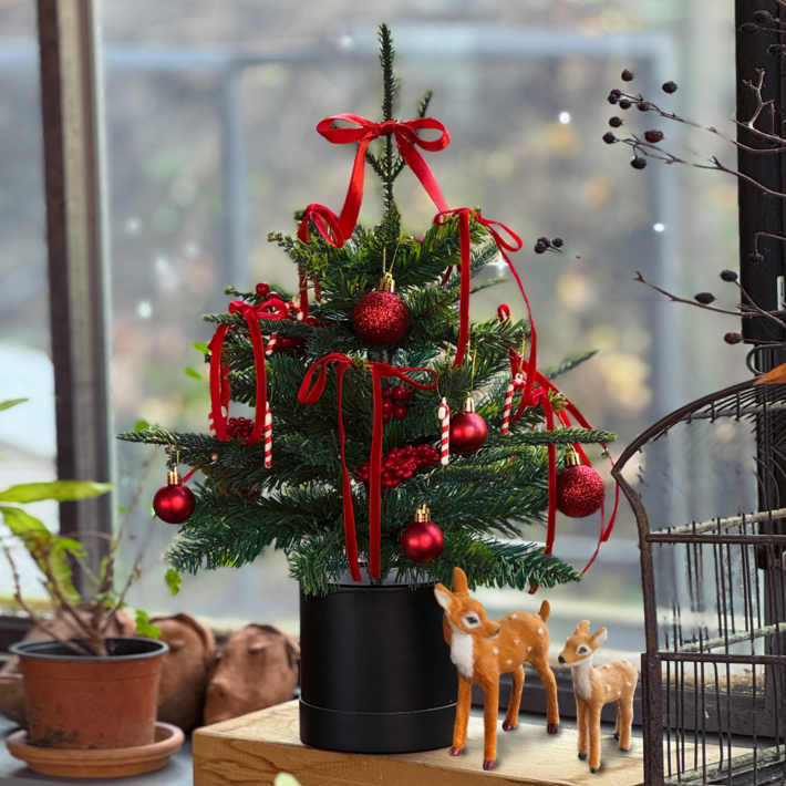 WM 45cm 크리스마스 리본 미니 트리 풀세트, 혼합색상