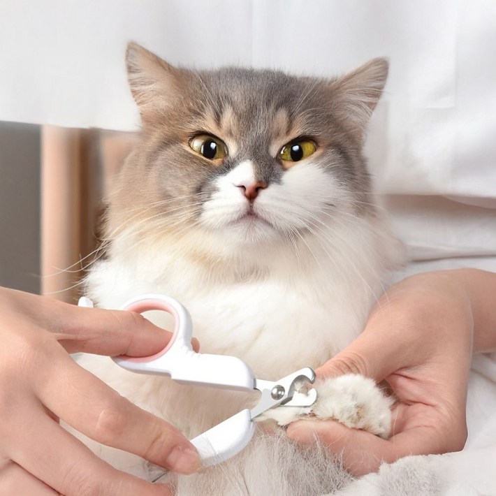고양이 강아지 반려동물 스테인레스 발톱깎이 (고급형)