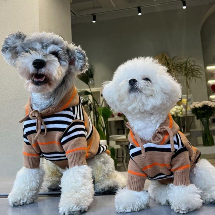 FULIBS 강아지 명품옷 후드티 니트 가디건 스웨터 소형견 중형견 대형견옷 FULIBS 강아지 명품옷 후드티 니트 가디건 스웨터 소형견 중형견 대형견옷