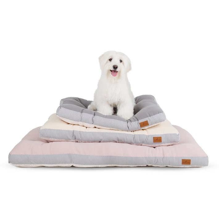 펫벨르 강아지방석 사계절용 푹신푹신 프리미엄 마약 쿠션, 아이보리, 1개