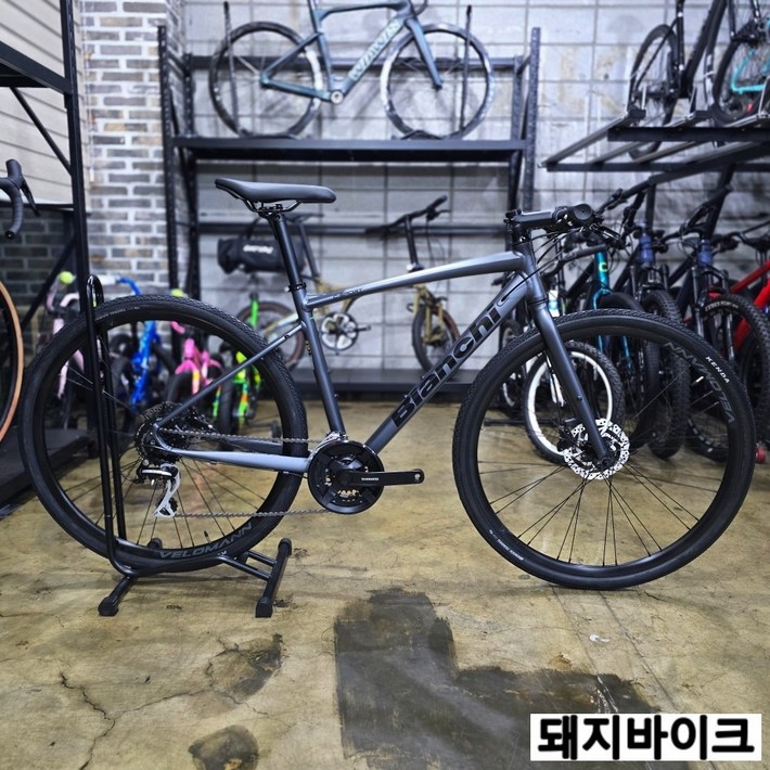 비앙키 C스포츠 S 아세라 디스크 하이브리드 자전거