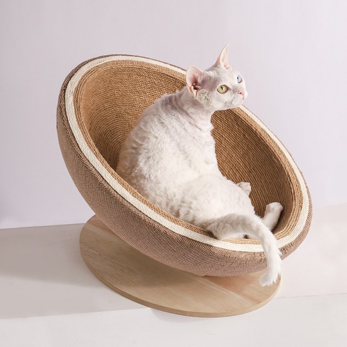 칠시 고양이 원형 요람 하우스 대형 스크래쳐, 혼합색, 1개