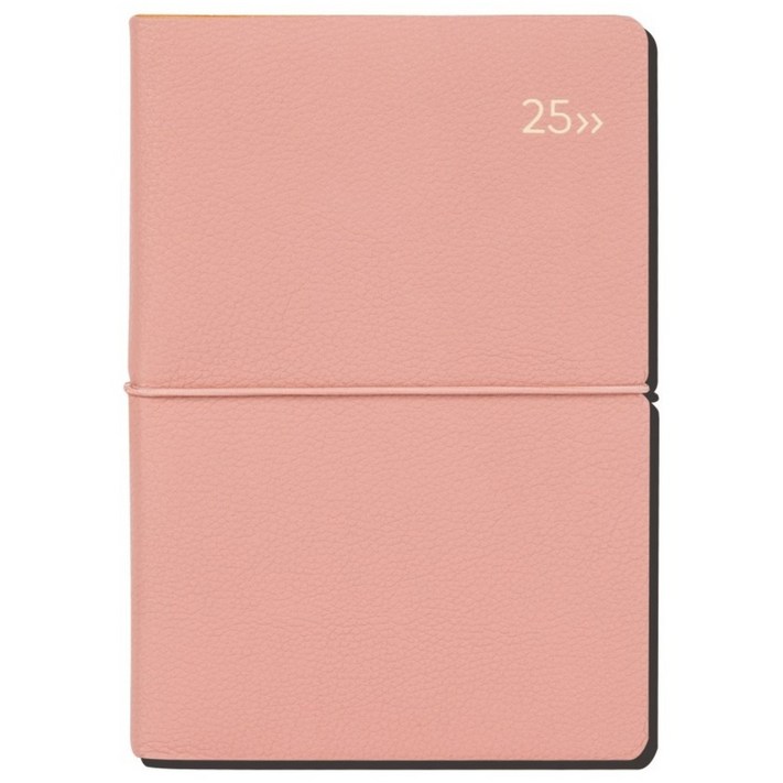 2025 다이어리 날짜형 위클리 주간식 다이어리 B6 디커버다이어리 DV PRO1