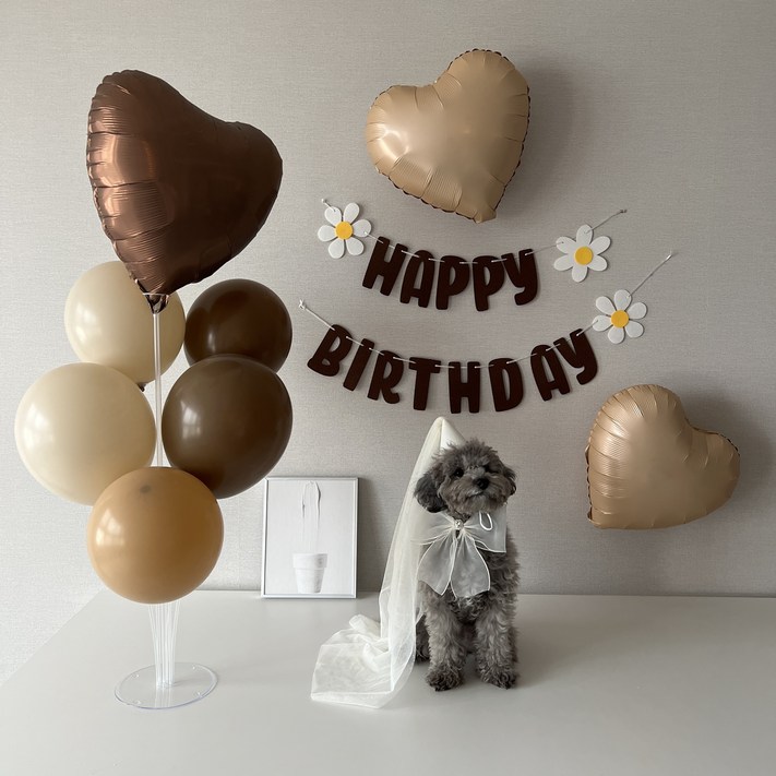 하피블리 강아지 생일 파티 베이지 하트 풍선 브라운 데이지 가랜드 생일상 세트, 생일가랜드(브라운) - 투데이밈