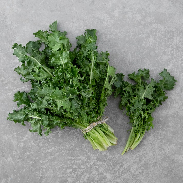 
                                                        곰곰 국내산 치커리, 150g, 1개
                                                    