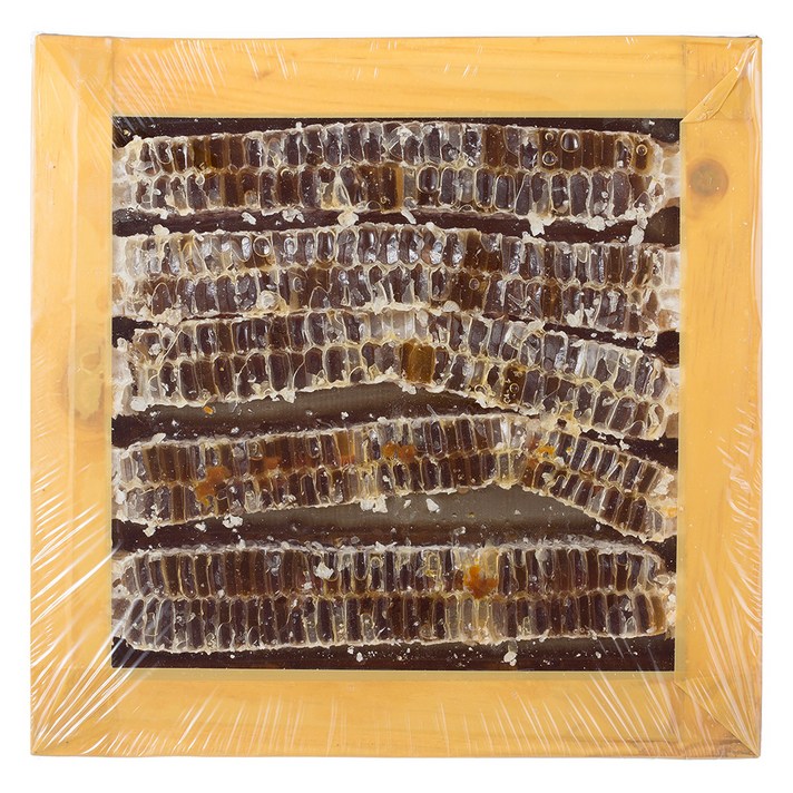 지리산한봉영농조합 사양벌집꿀, 1.5kg, 1개