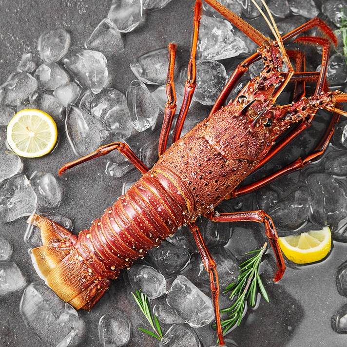 바이킹 마켓 스파이니 랍스타, 850~970g, 1개