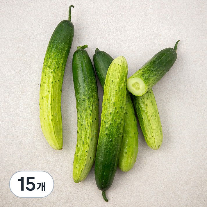 곰곰 국내산 백오이, 5입, 3개