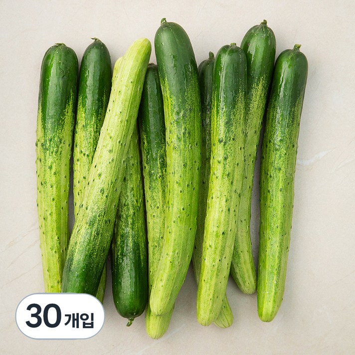 국내산 백오이, 10개입, 3개