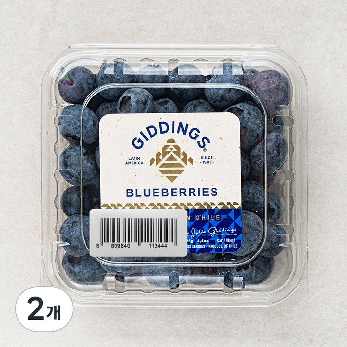 PSK 칠레산 블루베리, 125g, 2개