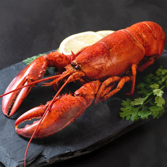 장어표 캐나다 프리미엄 최고급 특대 자숙 랍스터 마리당 550g - 650g 이상 4마리 1세트