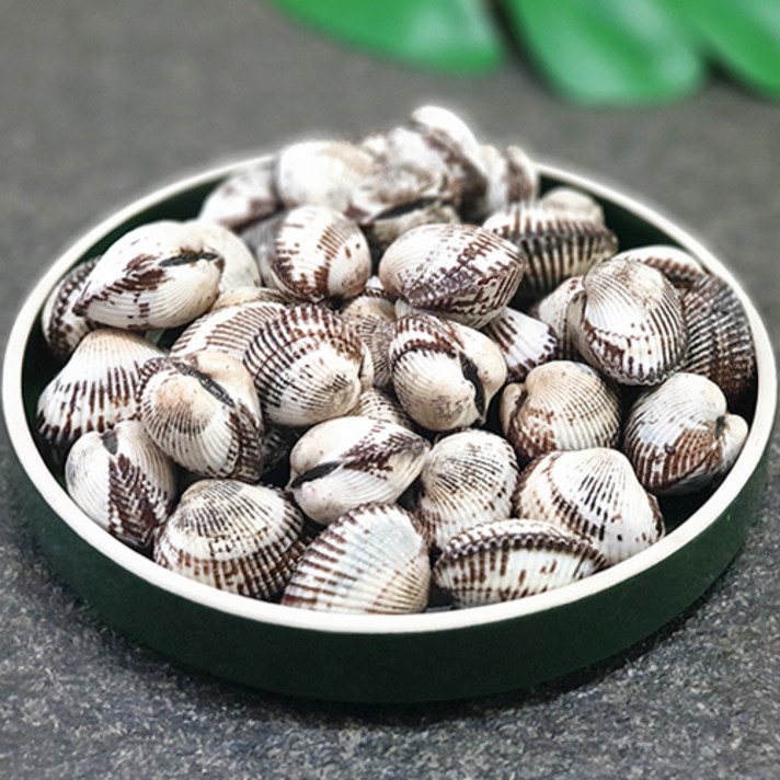 마파람수산 남해안 꼬막 벌교 새꼬막1kg, 1개, 새꼬막(상품)1kg[70마리내외]
