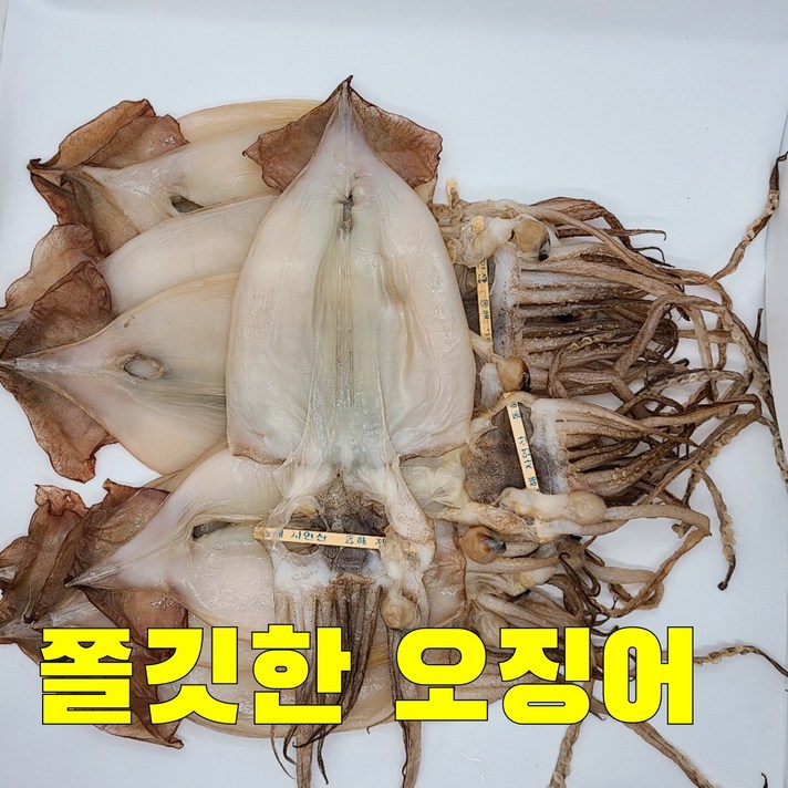 [와사비마요 증정 ]동해안 반건조 오징어 피데기 포항 산지 당일바리 피데기 오징어 10마리 710g