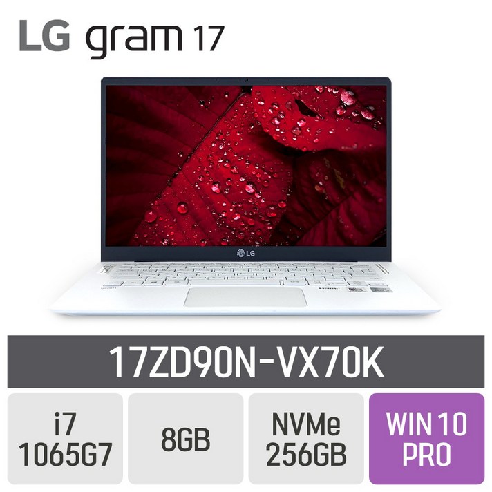 LG 2020그램 17ZD90N-VX70K, 8GB, SSD 256GB, 포함