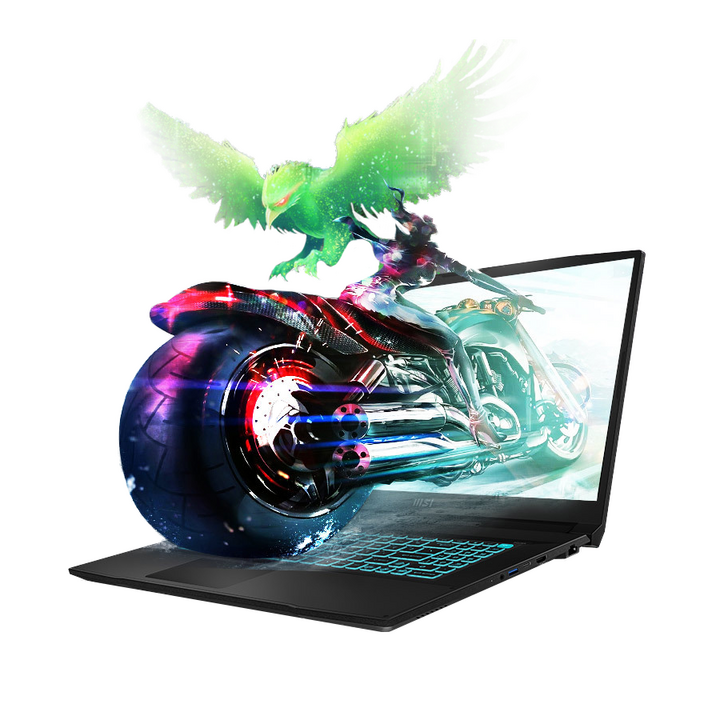  MSI 브라보 17 라이젠7 라이젠 7000 시리즈 지포스 RTX 4060, 블랙, 2TB, 16GB, Free DOS, D7VF 