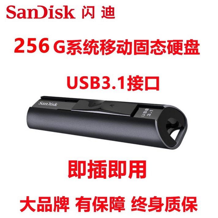 ZhanX 외장하드고속저장 HarddiskNo.142, 정부측, 밝 은 검은색 256 G 3.1 고체 USB