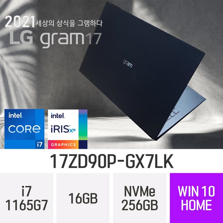 LG 2021 그램17 17ZD90P-GX7LK [한컴 오피스 증정], 256GB, 윈도우 포함, 16GB