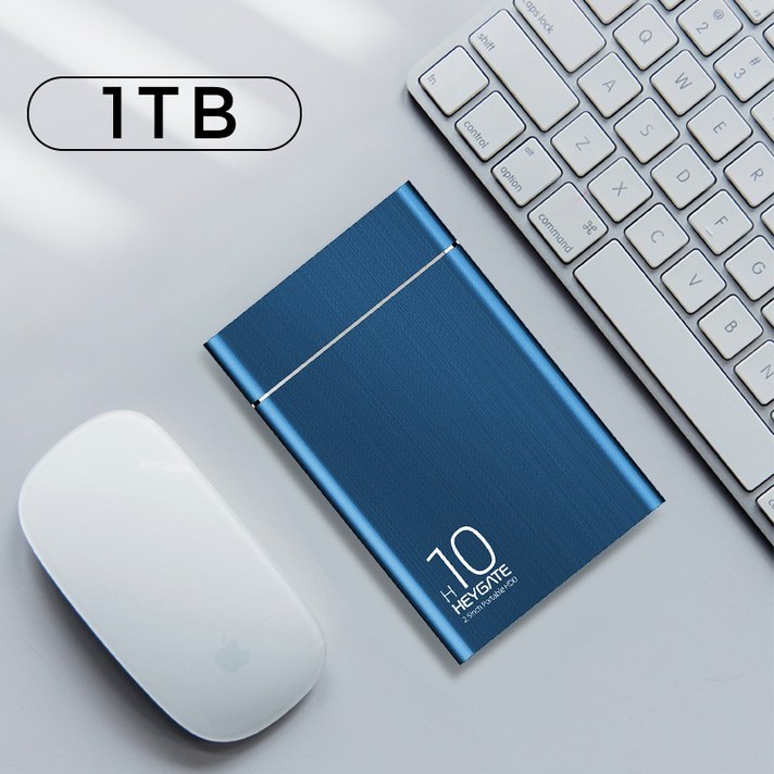 ZhanX 외장하드고속저장 HarddiskNo.87, 정부측, 【 1TB 】 USB 3.0 비 즈 니스 블 루 H10