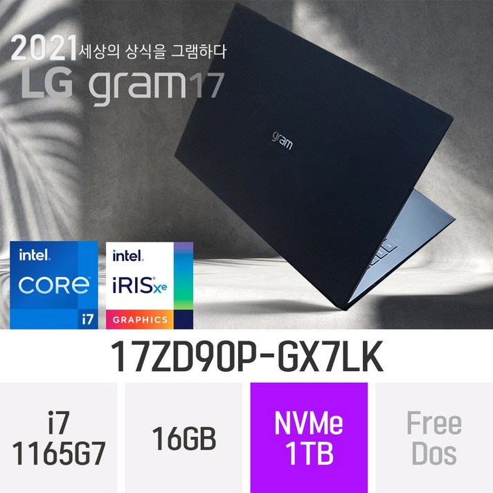 LG 2021 그램17 17ZD90P-GX7LK [한컴 오피스 증정], 1TB, 윈도우 미포함, 16GB