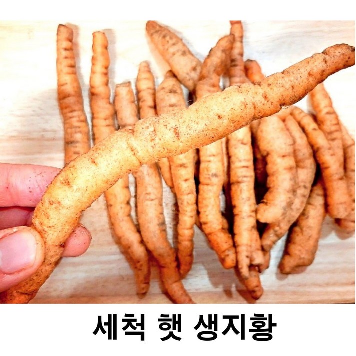 세척 햇생지황 금산 세척생지황 600g, 생지황1kg, 세척원해요(0)