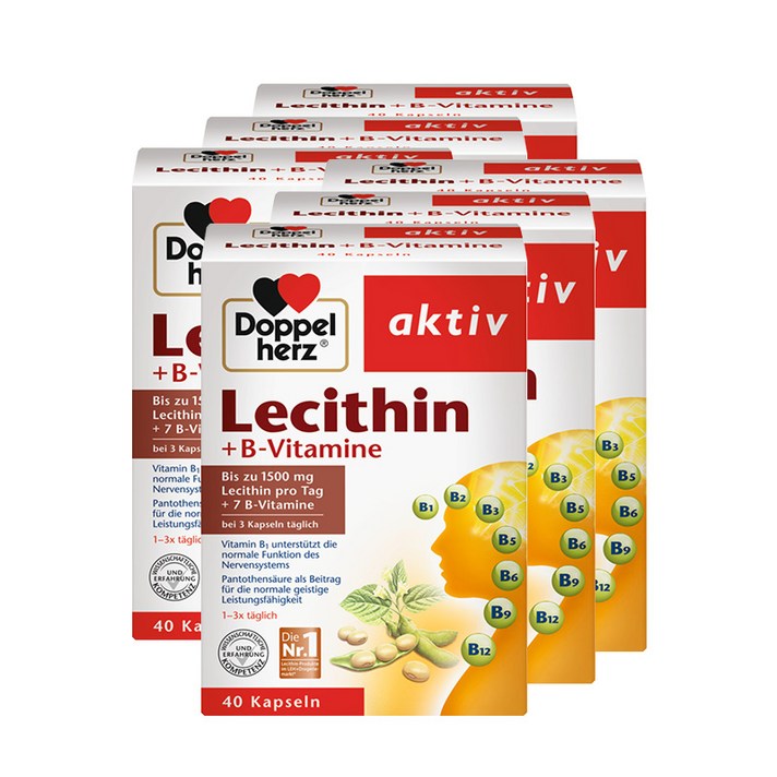 [해외]Doppel Herz Lecithin 소프트 용기 비타민B 스캐빈저 피쉬 오일 레시틴 40캡슐 6박스, 개, 레시틴 소프트캡슐 40정 6박스