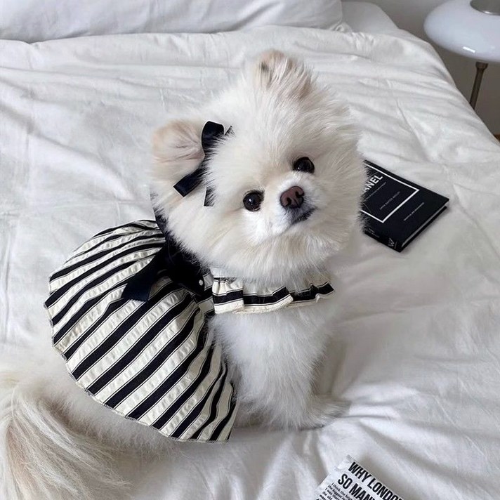 퍼피드림 반려동물 스위티 스트라이프 원피스 10024