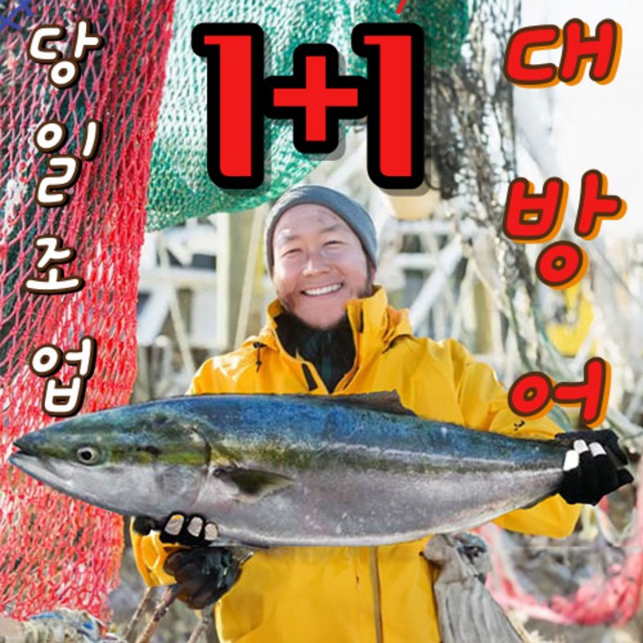  [쿠폰할인] 당일조업 생생 탱탱 대방어 11Kg~7Kg 급 필렛 산지직송, 활대방어 패밀리SET, 1개, 얼리버드 