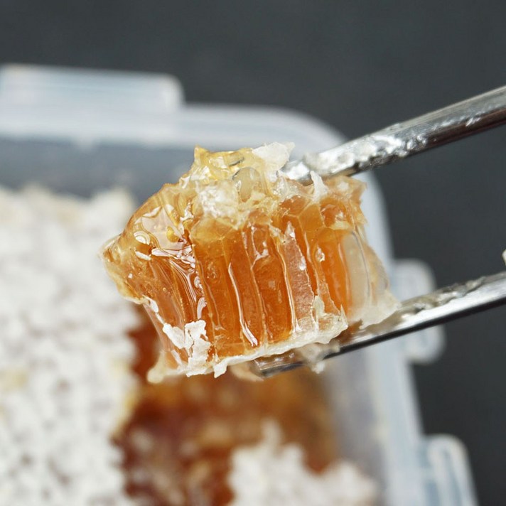 더싱싱 국내산 숙성 벌집꿀 / 팩 벌집꿀 /벌집꿀 선물세트, 1개, 팩 벌집꿀 290g