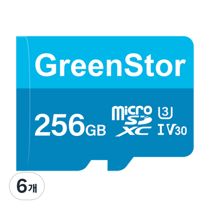 그린스토아 메모리카드 마이크로 SD카드 블랙박스전용, 6개, 256GB