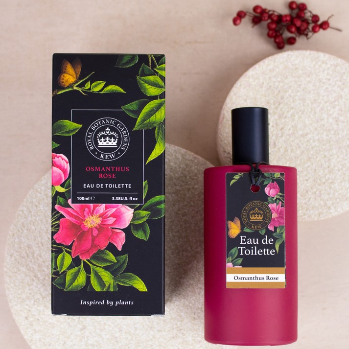 큐가든 오스만투스 로즈 오드 뚜왈렛, 1개, 100ml