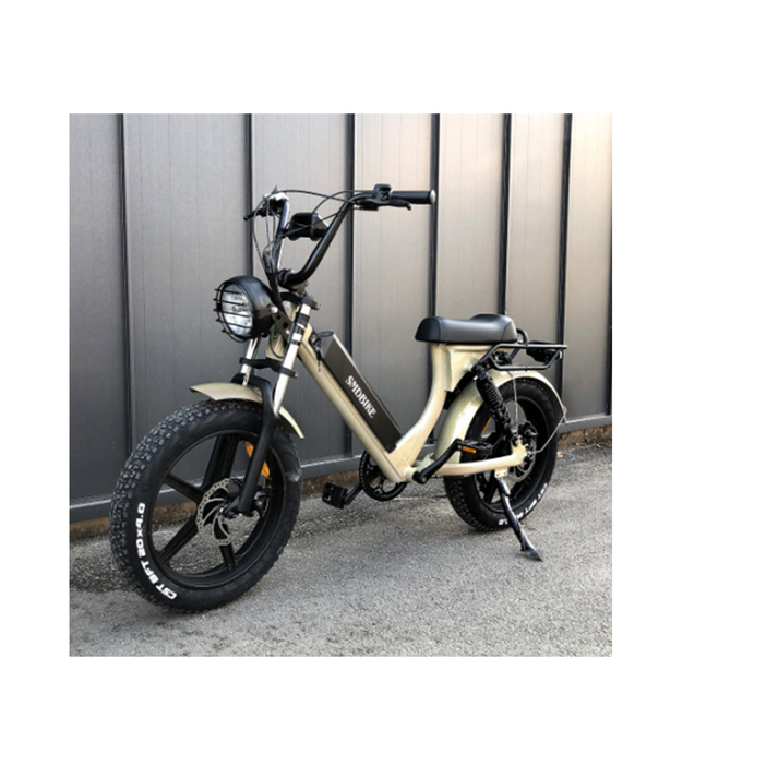 방배점SMD바이크 V5 1000W 48V 17AH 20AH 25AH 전기자전거 자토바이 방배점SMD바이크 V5 1000W 48V 17AH 20AH 25AH 전기자전거 자토바이