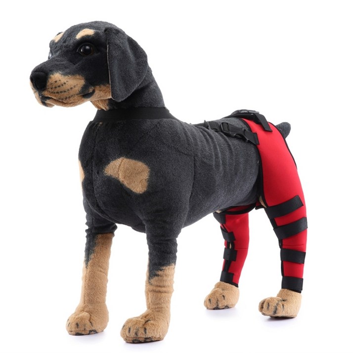 프로젝트21 강아지 관절 슬개골 다리 무릎 보호대 2pcs  패드 조정 가능한 뒷 랩 부상 자 재활