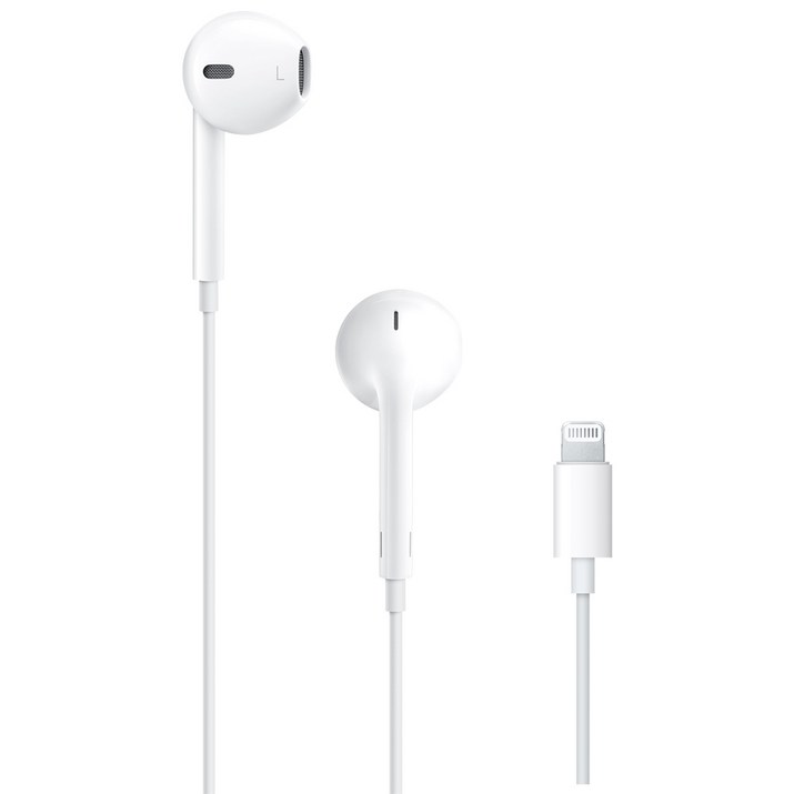 Apple 정품 라이트닝 이어팟