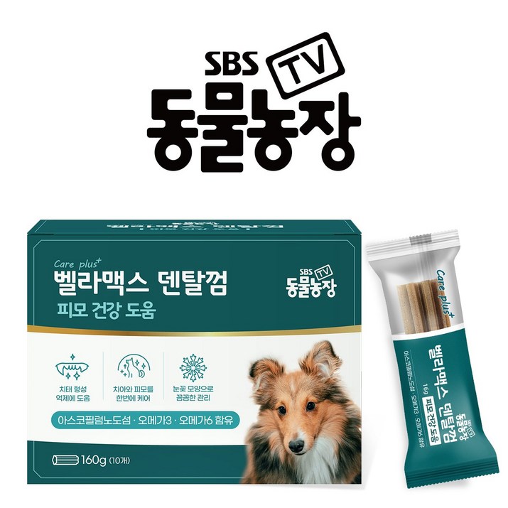 SBS TV 동물농장 덴탈껌 1개 강아지 치석 양치 입냄새 제거, 치석관리, 단품, 1개