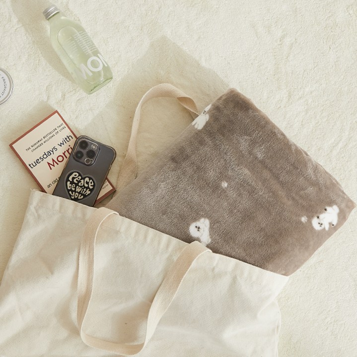 아르페지오베이직 극세사 밍크담요