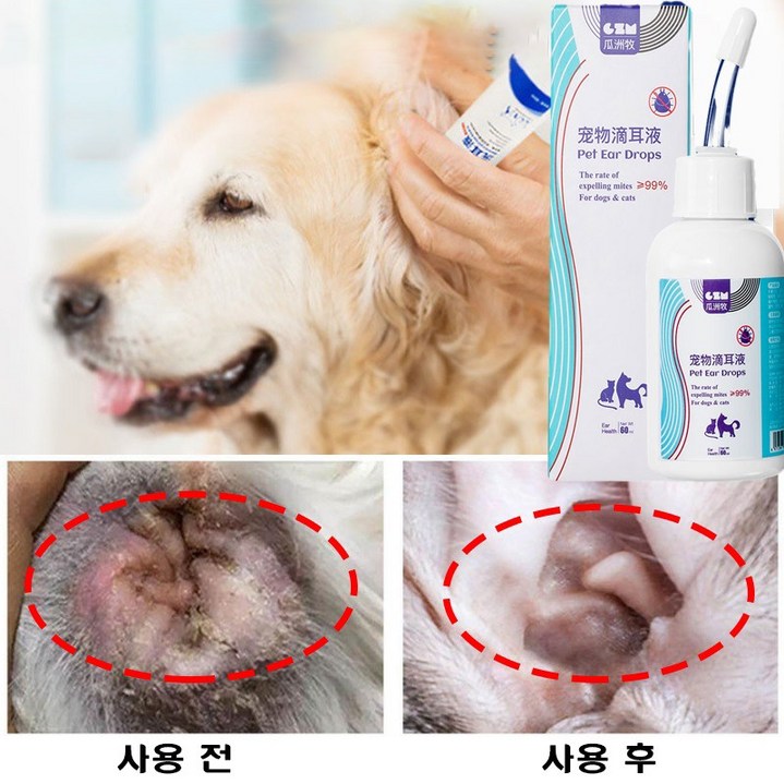 고양이 강아지 귀세정제 귀염증 외이염 귓병예방 귀 상처 귀 냄새 귀청소 귀진드기 자극완화