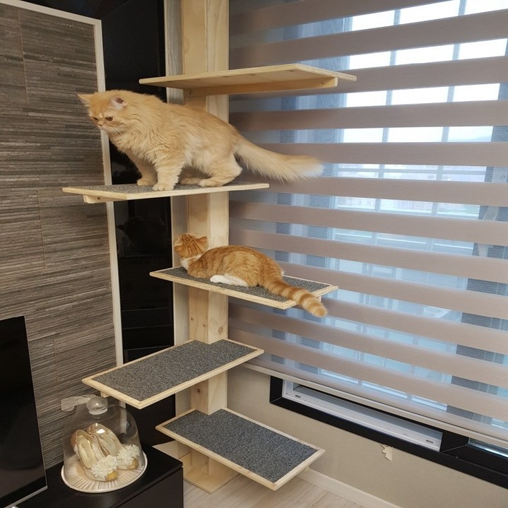 아크퍼니처 DIY 고양이 원목 캣폴 캣타워