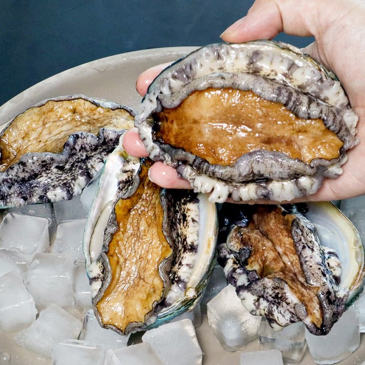 바다in연 프리미엄 활전복 1kg 완도산, 산소포장