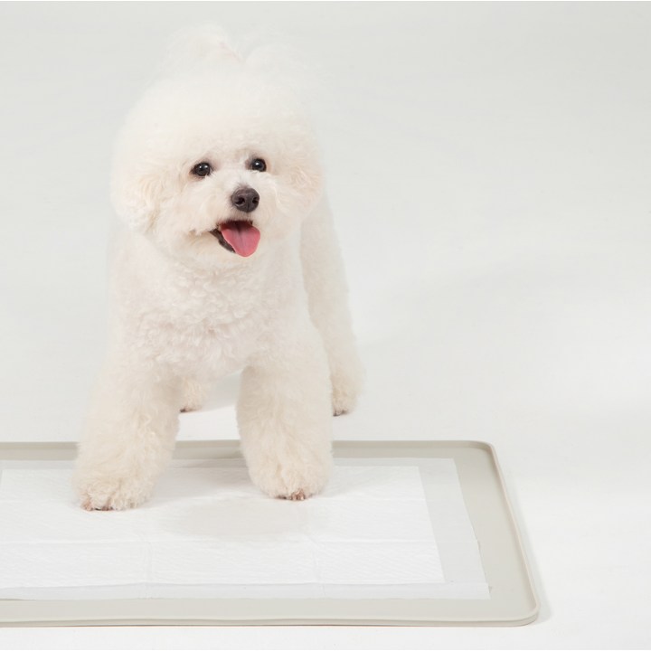 강아지배변매트 탐사 펫 논슬립 실리콘 배변매트 라이트그레이 60*50 cm 표준형