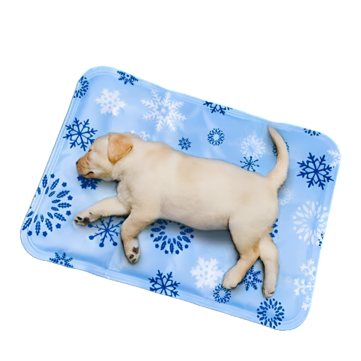 강아지쿨매트 고양이 애견 반려동물 방석, 스카이블루