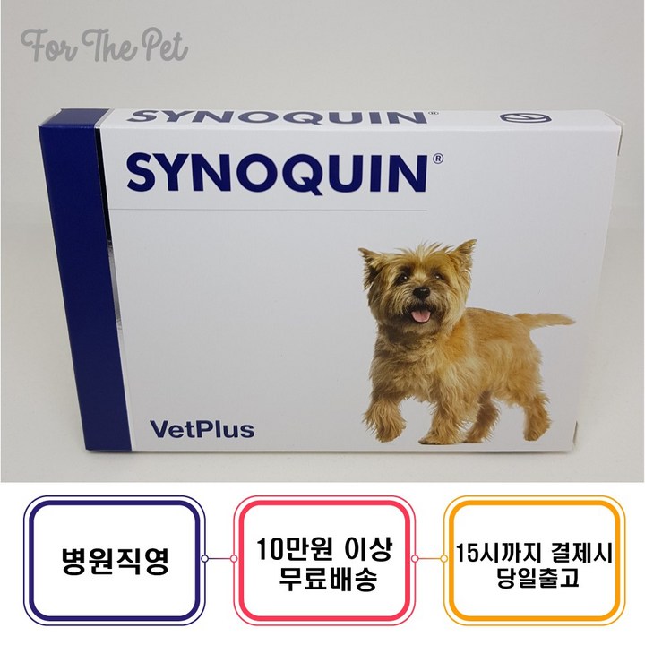 사이노퀸소형견 사이노퀸 30정(알약형) 영양보조제 - 당일배송
