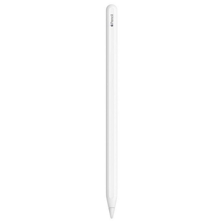 Apple 정품 애플펜슬 2세대, 1개 20230616