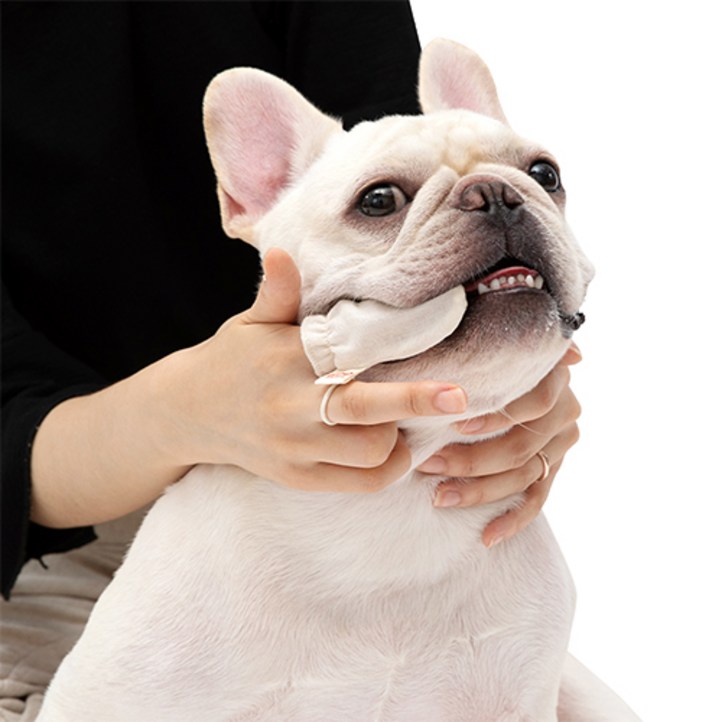 래핑찰리 반려동물 오가닉 거즈 손가락 칫솔 6p, 단일 색상, 1개 래핑찰리 반려동물 오가닉 거즈 손가락 칫솔 6p, 단일 색상, 1개