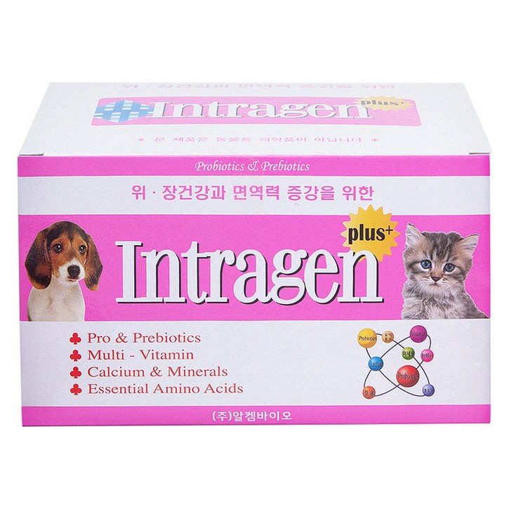 인트라젠 반려동물 플러스 영양제