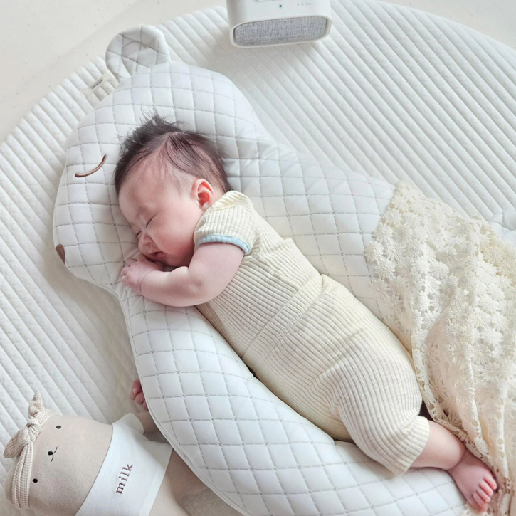 푸키포키 다람이 옆잠베개