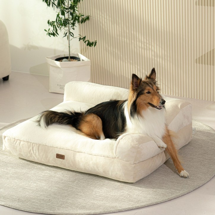펫테일 강아지 은나노 리저브 방석 쿠션 침대 쇼파, 그린 그레이 XL  미니쿠션 2개