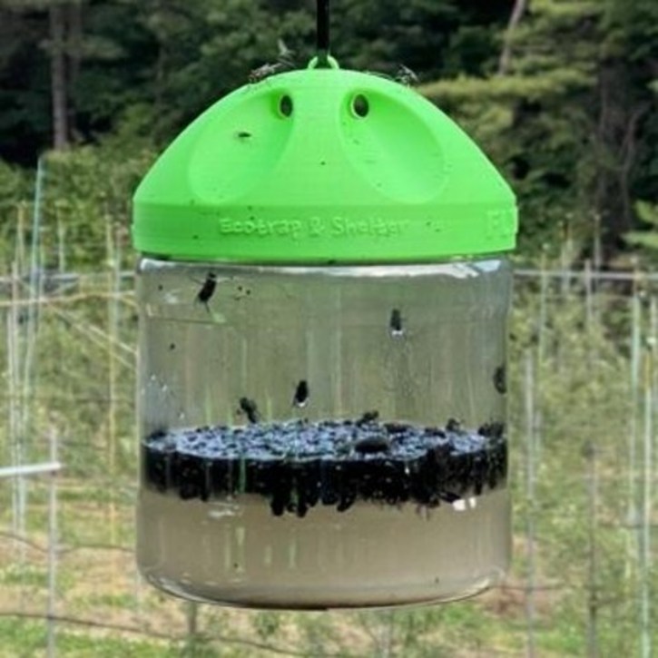 에코트랩 플라이돔 기본형 3만마리 파리퇴치기 트랩 포획 박멸 제거 (재사용 가능)